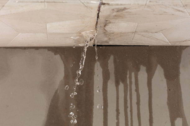 Professional Structural Drying technician working in Flat Rock, MI